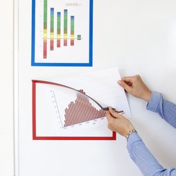 QMS-A4, Magnetic frame A4, to display notes, for whiteboards, cupboards, etc., A4 format